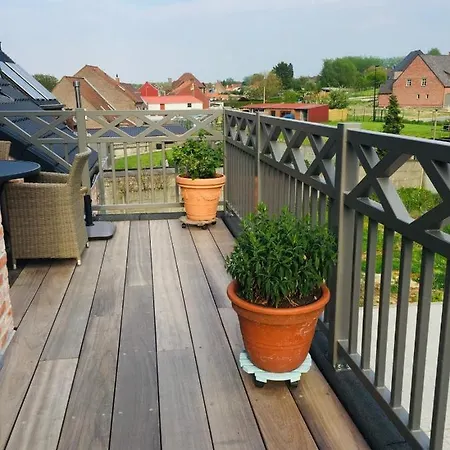 Zen Op - Zen Aan De Gavers *